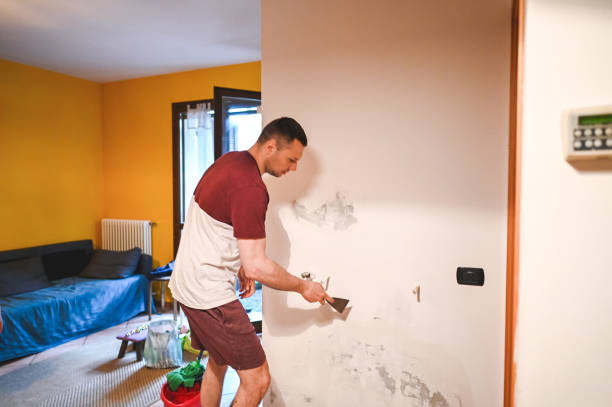 Best Residential Mold Removal  in Vero Lake Estates, FL